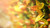 Jual Poster Earth Leaf APC 275
