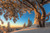 Jual Poster Earth Mountain Snow Tree Winter Earth Winter APC 003