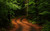 Jual Poster Earth Path APC 012