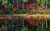 Jual Poster Earth Reflection APC 042