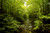Jual Poster Earth Stream APC 017