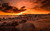 Jual Poster Earth Sunset APC 302