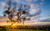 Jual Poster Earth Sunset APC 365