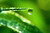Jual Poster Earth Water Drop APC 019