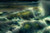 Jual Poster Earth Wave APC 031