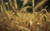 Jual Poster Earth Wheat APC 039
