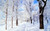 Jual Poster Earth Winter APC 192 Jual Poster Earth Winter APC 192