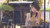 Poster Kimi No Na Wa. Mitsuha Miyamizu Anime Your Name. APC010