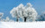 Jual Poster Earth Winter APC 305