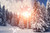 Jual Poster Earth Winter APC 392