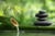Jual Poster Earth Zen Garden APC 003