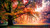 Jual Poster Fall Fog Foliage Park Tree Trees Tree APC