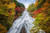 Jual Poster Fall Foliage Japan Nature Tree Waterfall Waterfalls Waterfall APC