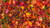 Jual Poster Fall Foliage Leaf Earth Leaf APC