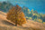Jual Poster Fall Foliage Nature Tree Trees Tree APC