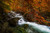 Jual Poster Fall Forest Rock Waterfall Waterfalls Waterfall3 APC