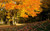 Jual Poster Fall Leaf Nature Season Earth Fall APC