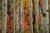 Jual Poster Fall Tree Earth Birch APC