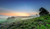 Jual Poster Fern Fog Landscape Nature Sky Earth Fog APC
