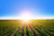 Jual Poster Field Horizon Nature Sky Sun Earth Field APC