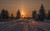 Jual Poster Fir Tree Road Sunset Tree Winter Earth Sunset APC10