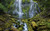 Jual Poster Forest Greenery River Waterfall Waterfalls Waterfall APC