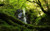 Jual Poster Forest Greenery Rock Scotland Waterfall Waterfalls Waterfall APC
