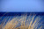 Jual Poster Grass Horizon Nature Ocean Earth Grass APC
