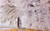 Jual Poster Leaf Road Tree Winter Trees Tree APC