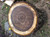 Jual Poster Lumber Wood Trees Tree APC