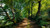 Jual Poster Nature Path Tree Earth Path APC 001