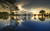 Jual Poster Nature Reflection Tree Earth Reflection APC