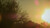 Jual Poster Nature Sky Sun Tree Earth Sky APC
