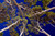 Jual Poster Nature Tree Treetops Trees Tree APC 001