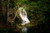 Jual Poster Nature Tree Waterfall Waterfalls Waterfall6 APC