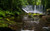 Jual Poster Rainforest Vegetation Waterfall Waterfalls Waterfall0 APC