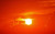 Jual Poster Sky Sun Sunset orange (Color) Earth Sunset APC
