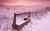 Jual Poster Snow Trough Winter Earth Winter APC