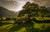 Jual Poster Sunset Sunshine Tree Earth Landscape APC