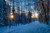 Jual Poster Sunset Winter Wood Earth Winter APC