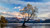 Jual Poster Trees Tree APC 257