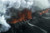 Jual Poster Volcanoes Bárðarbunga APC 001
