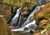Jual Poster Waterfalls Waterfall APC 068