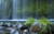 Jual Poster Waterfall Waterfalls Waterfall APC 020 Jual Poster Waterfall Waterfalls Waterfall APC 020