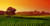 Jual Poster Australia Fields 1Z