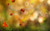 Jual Poster Autumn Foliage Grass 1Z