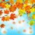 Jual Poster Autumn Foliage Maple 1Z 003