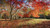 Jual Poster Autumn Trees Foliage 1Z 006