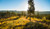 Jual Poster Autumn USA Scenery 1Z
