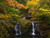 Jual Poster Autumn Waterfalls 1Z